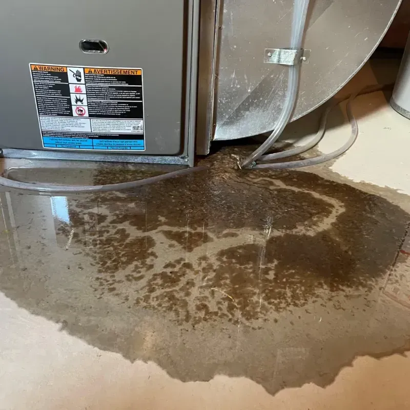 Appliance Leak Cleanup in Seagate, NC